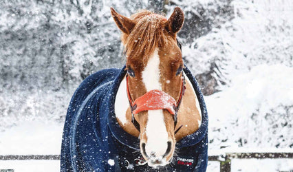 Winter Horse Care - How To Prepare For Winter With Premier Equine